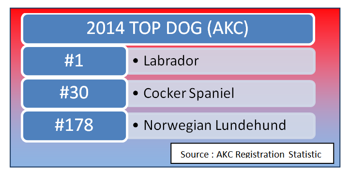 AKC Registration Statistic