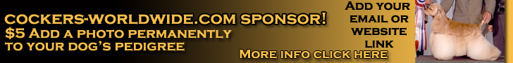 Cockers-Worldwide Banner Sponsor